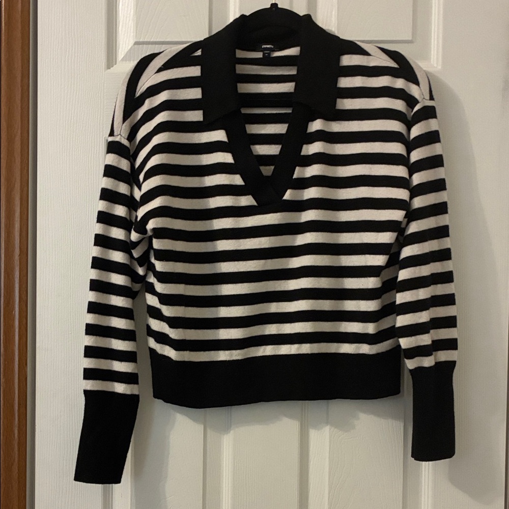 Express Black and White Striped V-Neck Sweater